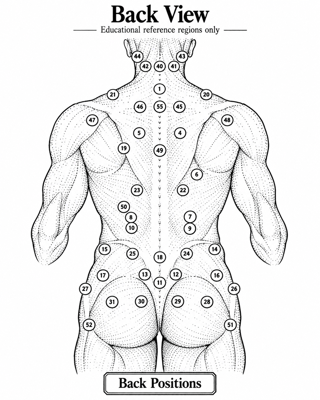 Back and shoulder Hijama points chart with numbered traditional cupping locations