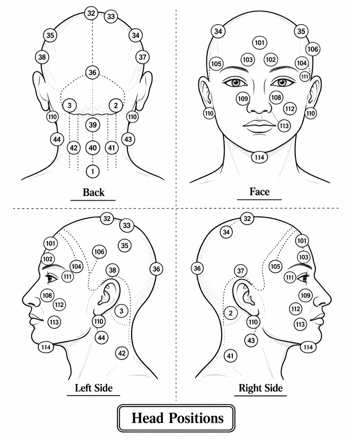 Head face and neck Hijama points chart with numbered traditional cupping locations