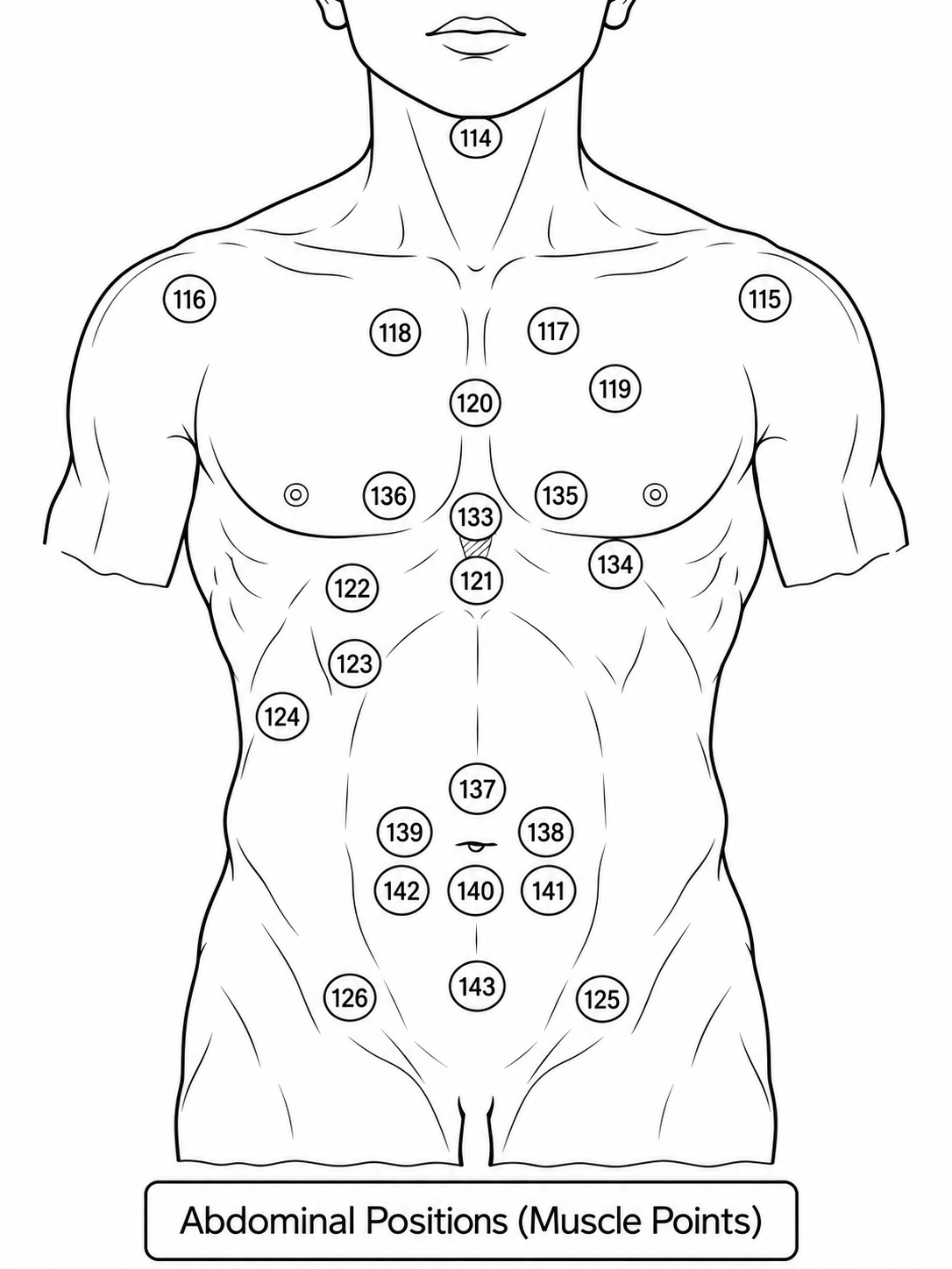 Chest and abdominal Hijama points chart with numbered traditional cupping locations